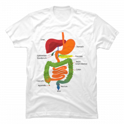 digestive system t shirt